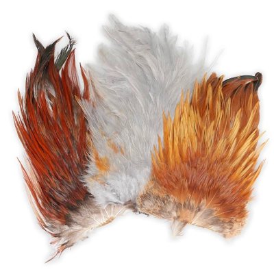 CUELLO CHINO (Indian Rooster)