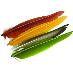 Dyed Duck Quill Baetis