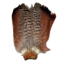 Partridge Tail