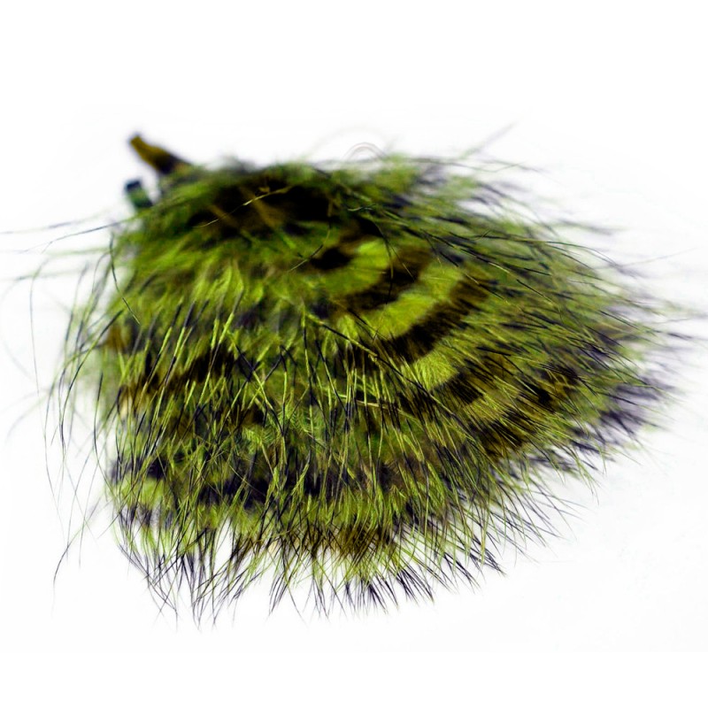 Willow Bug from Brack N Brine with a chartreuse body, black hackle